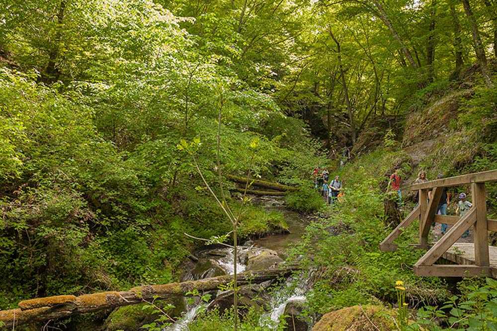 Die Ehrbachklamm - Eine der schönsten Wanderwege 3